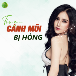 Cắt cánh mũi bị hỏng