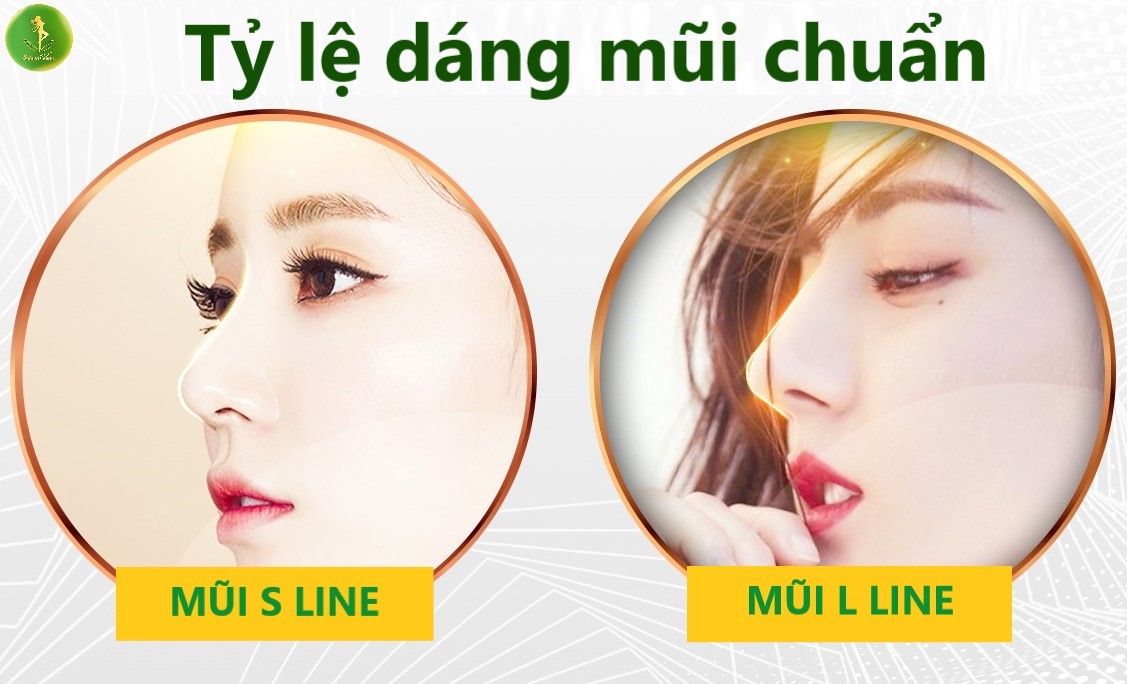 Tỷ lệ dáng mũi chuẩn
